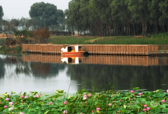 中国重庆一景区走红 千亩红枫林美如幻境