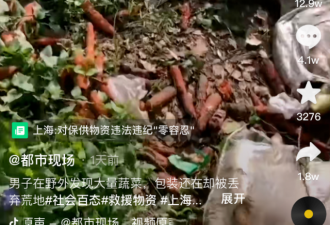 为何大量蔬菜被扔在上海郊外 官方公布