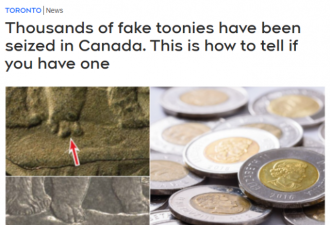 一万枚2元假硬币流入加拿大市场 华人男子被控
