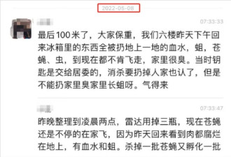 上海网友发现 家里已长出一群群的苍蝇了