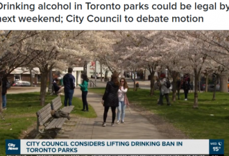 多伦多考虑允许公园喝酒 今夏可以畅饮了！