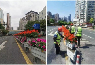封控将结束，上海绿美化街道，让人耳目一新