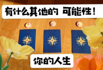 留学生就业:9k月薪 VS 2w月薪，你Pick哪个？