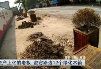 富豪盗12个绿化木箱：想给丈母娘种菜