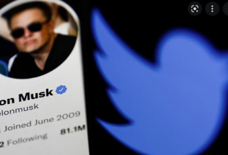 推特盘前暴跌逾20% 因马斯克公开宣布暂缓交易