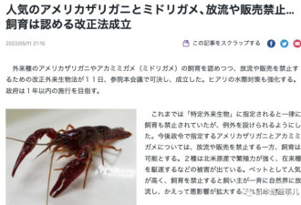 日本立法禁售小龙虾！中国网友热议：这么好吃