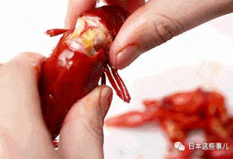 日本立法禁售小龙虾！中国网友热议：这么好吃