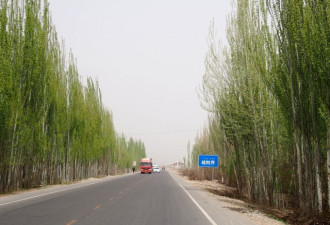 德媒：新疆疏附县每25人就有1人被关