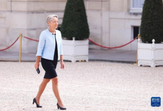 法国政府改组 博尔内成史上第二位女总理