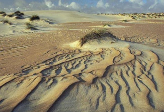 全球最独特沙漠：鲜花竞相开放 长达两个月