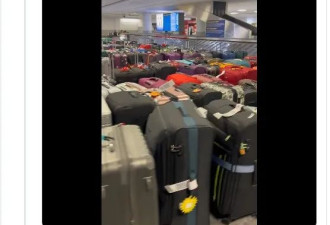 多伦多机场行李堆成山！航司警告扔垃圾桶