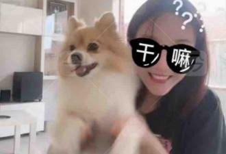 华人婚恋难！优质华女选择冻卵，也绝不将就