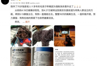 曝上海一宠物犬死在了消杀，维权无果！
