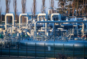 德国和意大利低头 同意俄罗斯天然气支付条款