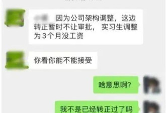 毕业后第一份工作，我把老板送上被告席