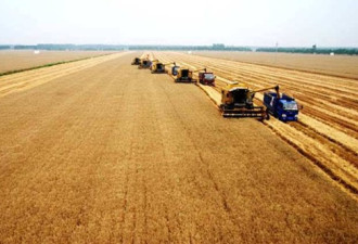美国三大粮商控制乌克兰85%耕地？