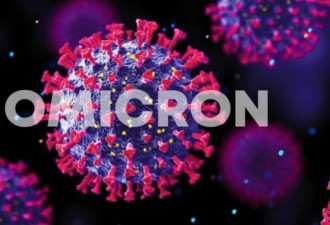 加拿大专家：Omicron变种会反复再反复感染
