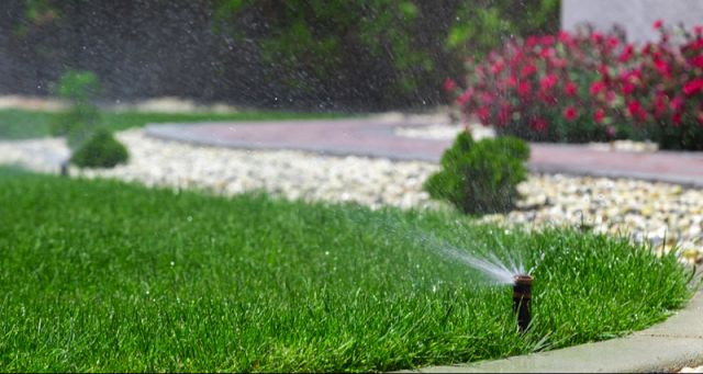 How Often Should You Water Your Lawn | Hometurf