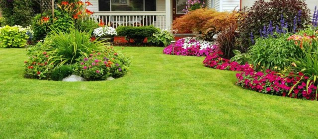 Keeping your Toronto lawn & garden healthy - Aden Earthworks