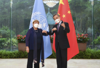 联合国人权高专在中国遭遇黑色闹剧