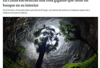 广西科考发现地下原始森林 解锁新物种