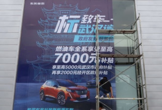 北京花费数千亿美元补贴受青睐的中国公司
