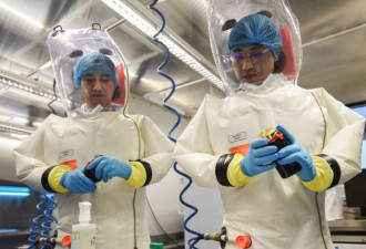 中国猴痘核酸检测获认证 曾在武汉实验