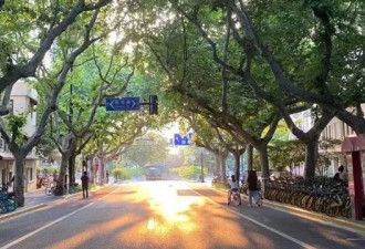 我与家人感染后 如何度过过去艰难两月?
