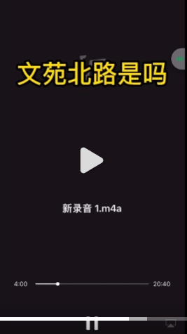 某120接线员:“我感觉你也没啥事啊”