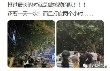 令人震惊的排队图:核酸排队这么难?