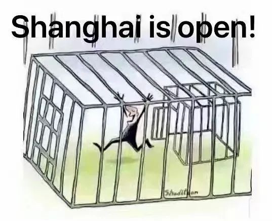 “出狱焦虑综合症”:上海的《出小区记》