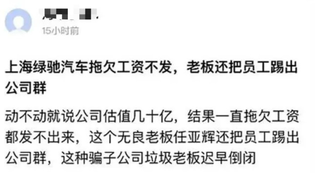 手撕特斯拉的中国车企 竟成传销公司？