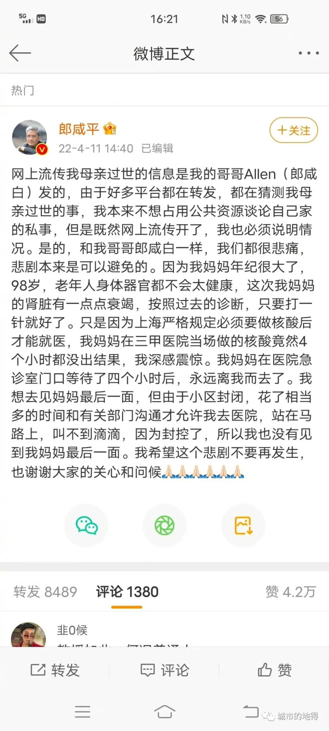 上海一切都像没发生 只有你妈死了