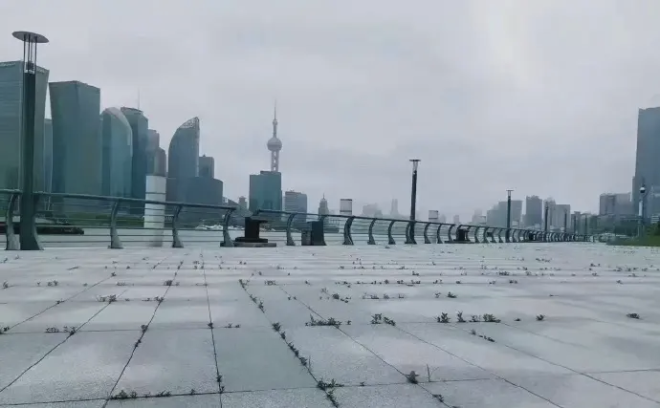 上海解封为什么远远没有想象中开心?