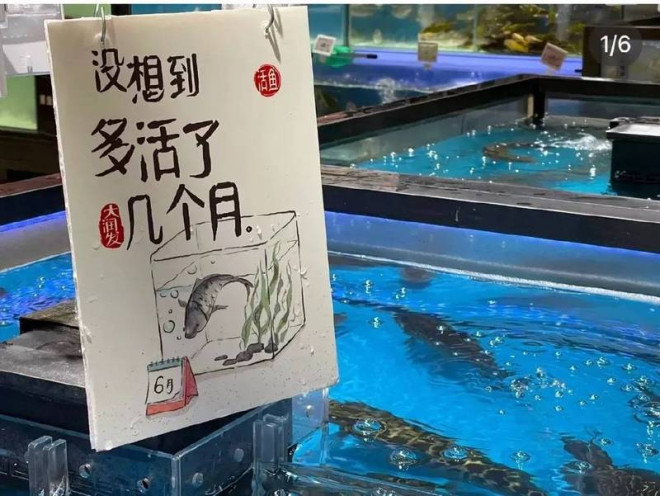 上海解封创意文案火了 自嘲“多活几个月”