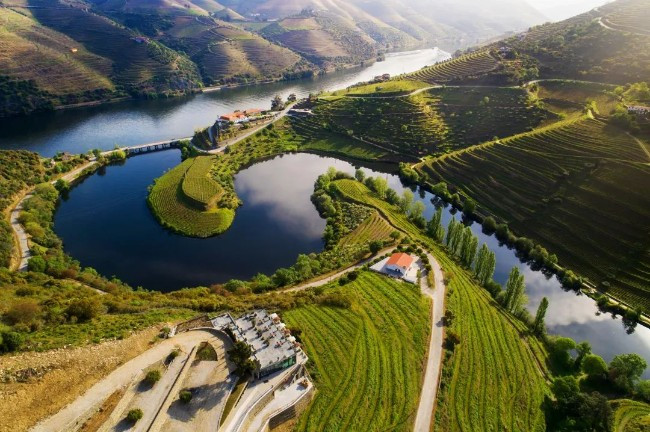 疫情之中看世界:美国华裔医生旅行见闻