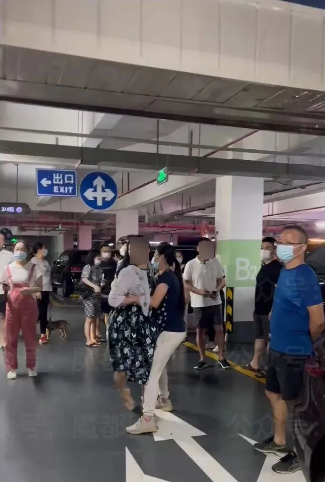 开50辆宾利的国企书记夫人 惊动全网