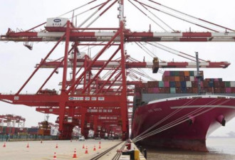 路透调查：供应链加速恢复 中国出口强弹骤增