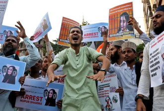 印警方逮捕发表反穆斯林言论的政客