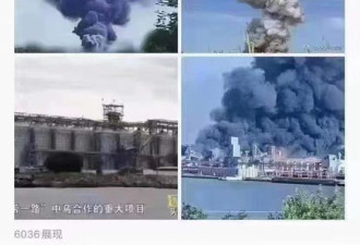 乌克兰尼古拉耶夫港遭袭 炸的不是中粮集团