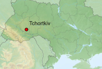 乌: 俄军炸西方武器库 基辅称至少22人伤