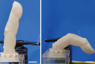 日本东大研制“活体皮肤” 机器人可自我修复