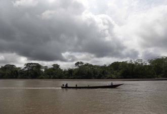 英记者和巴西专家在雨林失踪一周