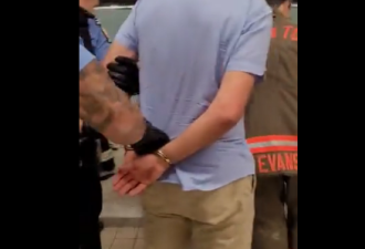 列治文山市议员TTC站台遭逮捕！现场视频疯传！