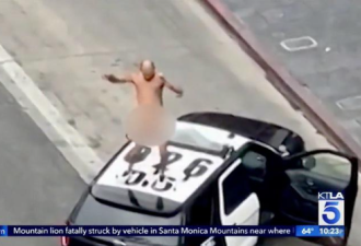 闹够了吧！裸男爬上洛杉矶警车跳舞被捕
