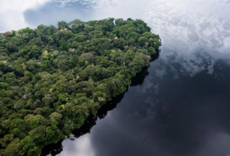 刚果泥炭地：面临威胁的“人类之肺”