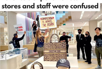 多伦多奢侈品店遭抗议人群涌入：LV、Dior、Tiffany遭殃！