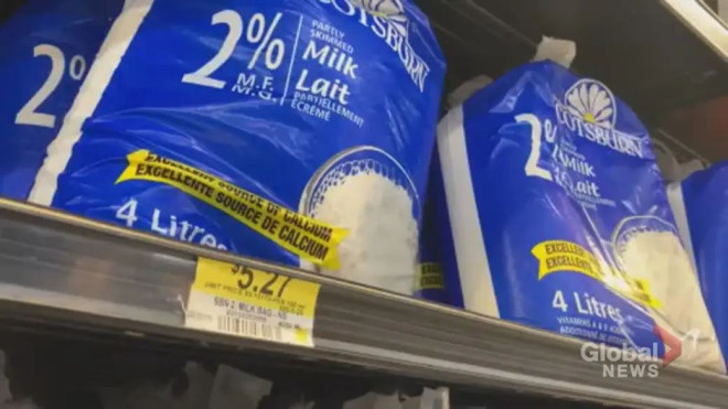 Milk prices soar across Canada as record price increases for farmers kick  in | Globalnews.ca