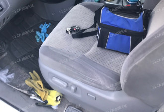 万锦华人爆料：监控拍下小偷破车门盗窃，连手机充电器都偷
