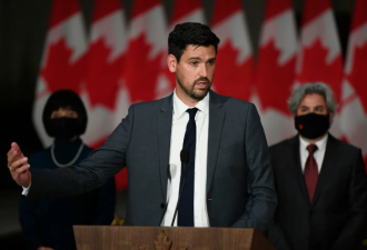 重磅！加拿大移民部长宣布EE重启！第一次抽签定在7月6号！